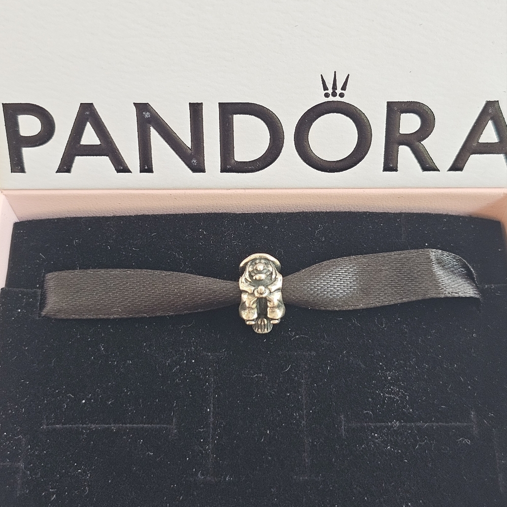 Pandora Witch Charm